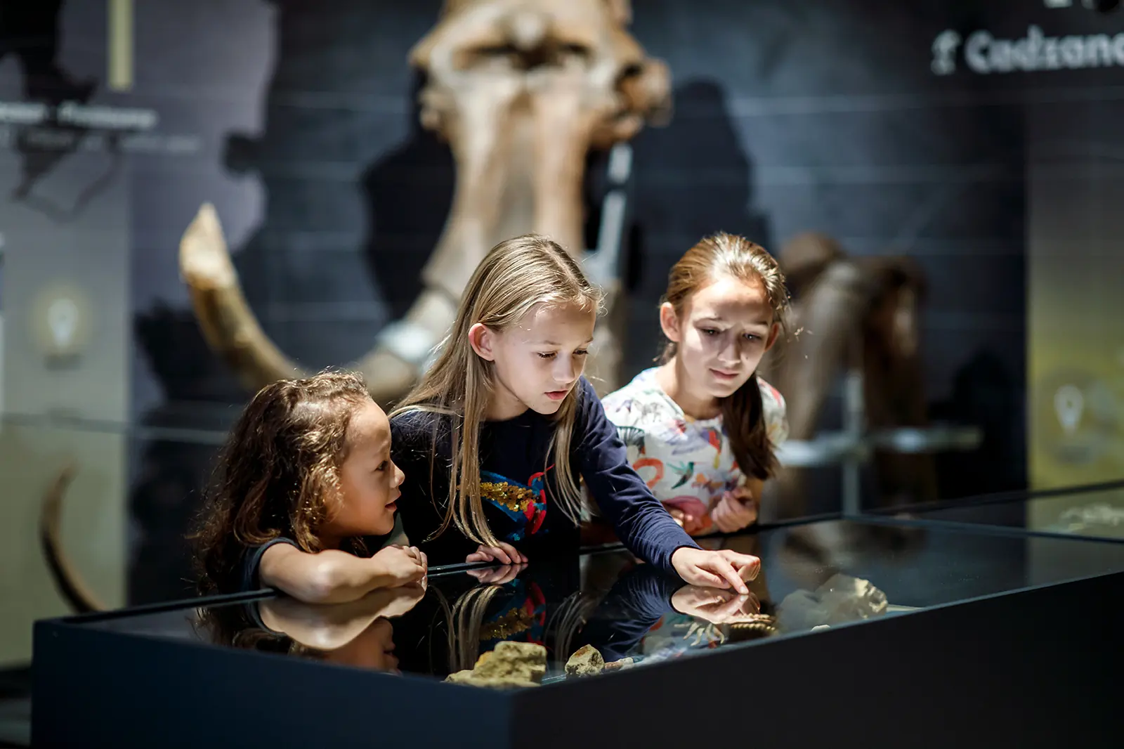 Drie kinderen bekijken fossielen in een vitrine; achter hen staat een groot skelet.