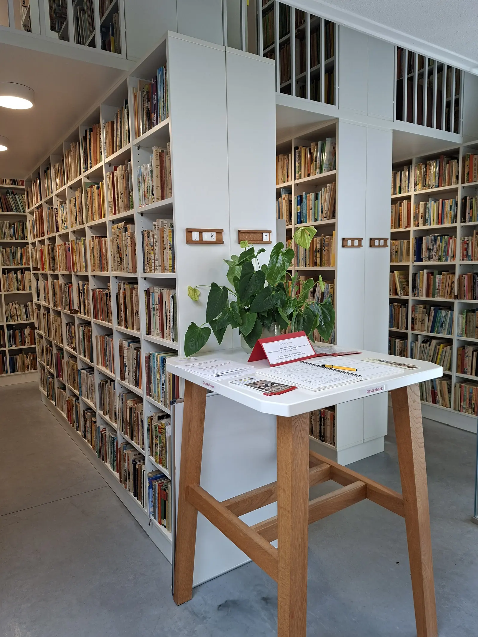 Des rangées de bibliothèques blanches jusqu'au plafond, avec une table blanche et une plante devant.