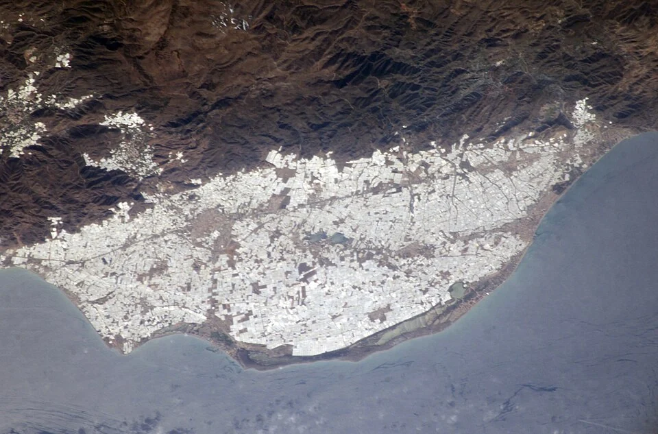 Greenhouses in Campo de Dalías near Almería, photographed from space by a NASA astronaut in February 2004. Archive image for illustration; not a photograph by Rob Hornstra or a view from 2026.