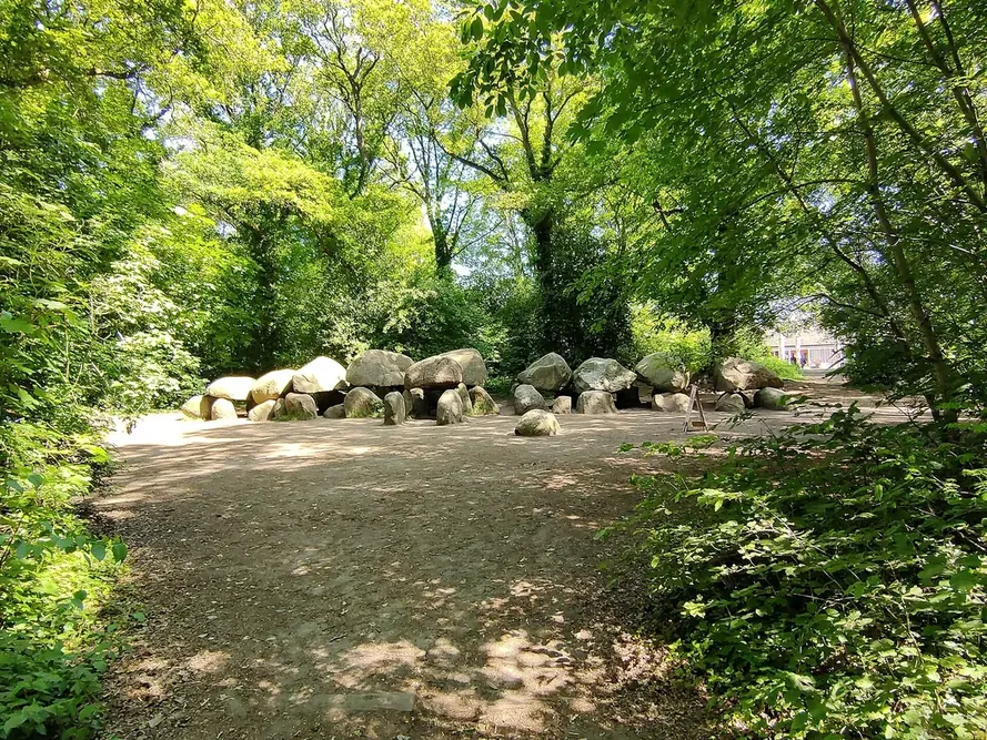 Large stones of dolmen D27 in woodland near Borger.