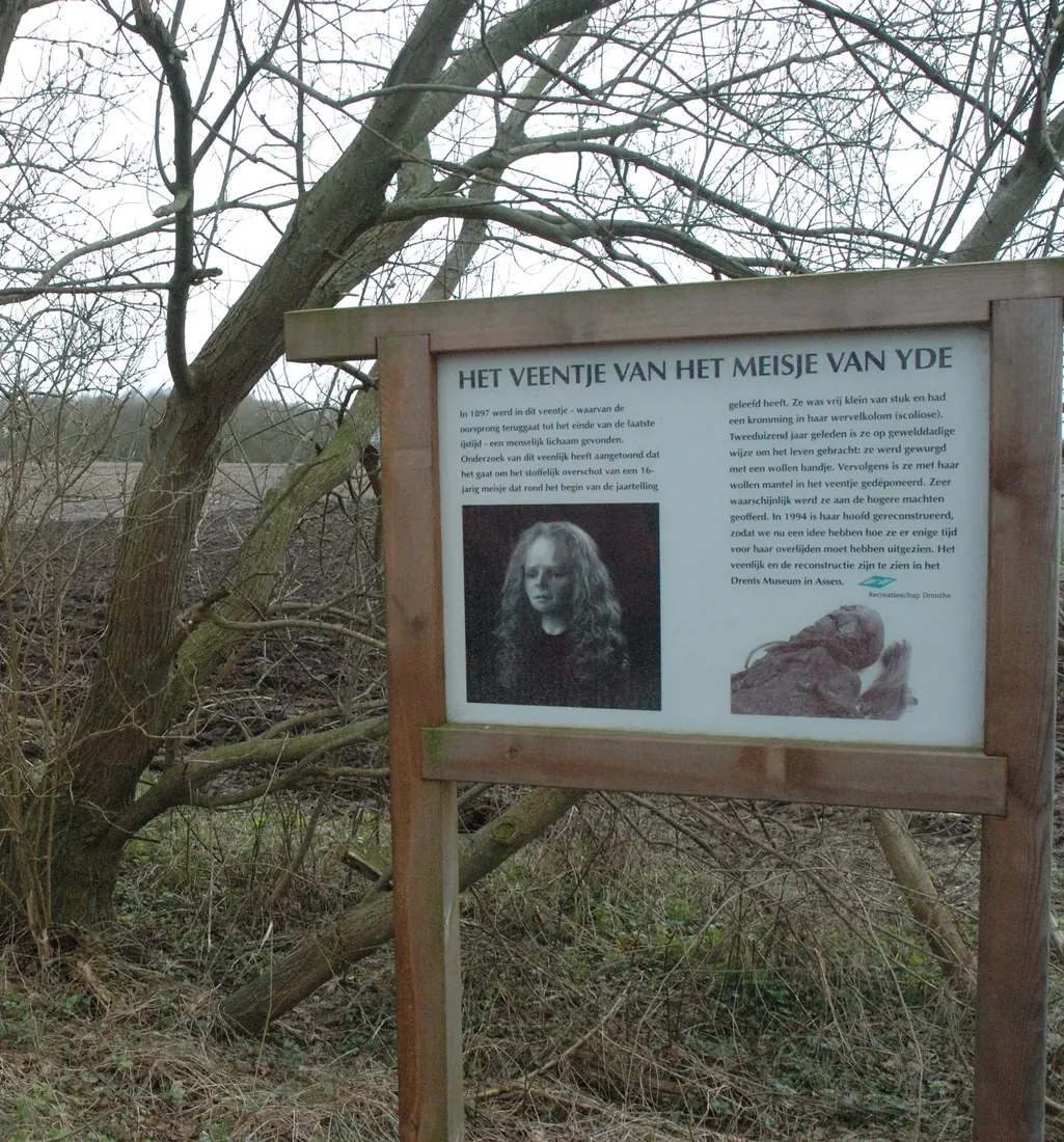 Information board beside a peatland near Yde, with trees in the background.