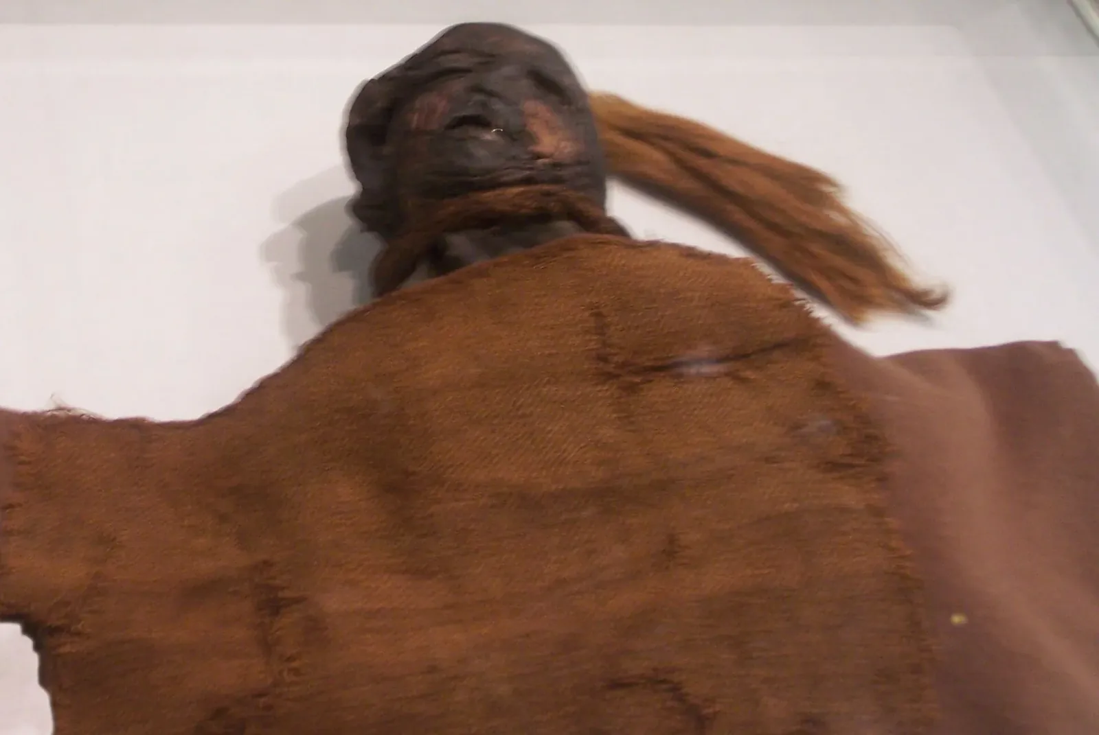 Bewaard hoofd en bovenlichaam van het Meisje van Yde onder een doek in de museumpresentatie.