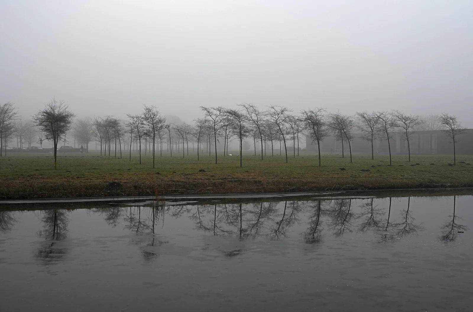 Bäume und Wasser im nebligen Museumpark von Oranjewoud.